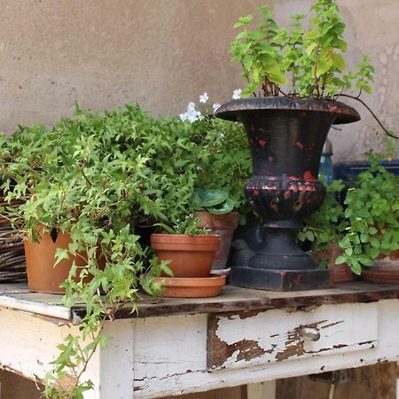 Dans Le Jardin De Marie Bouxwiller (Bas-Rhin) Exterior foto