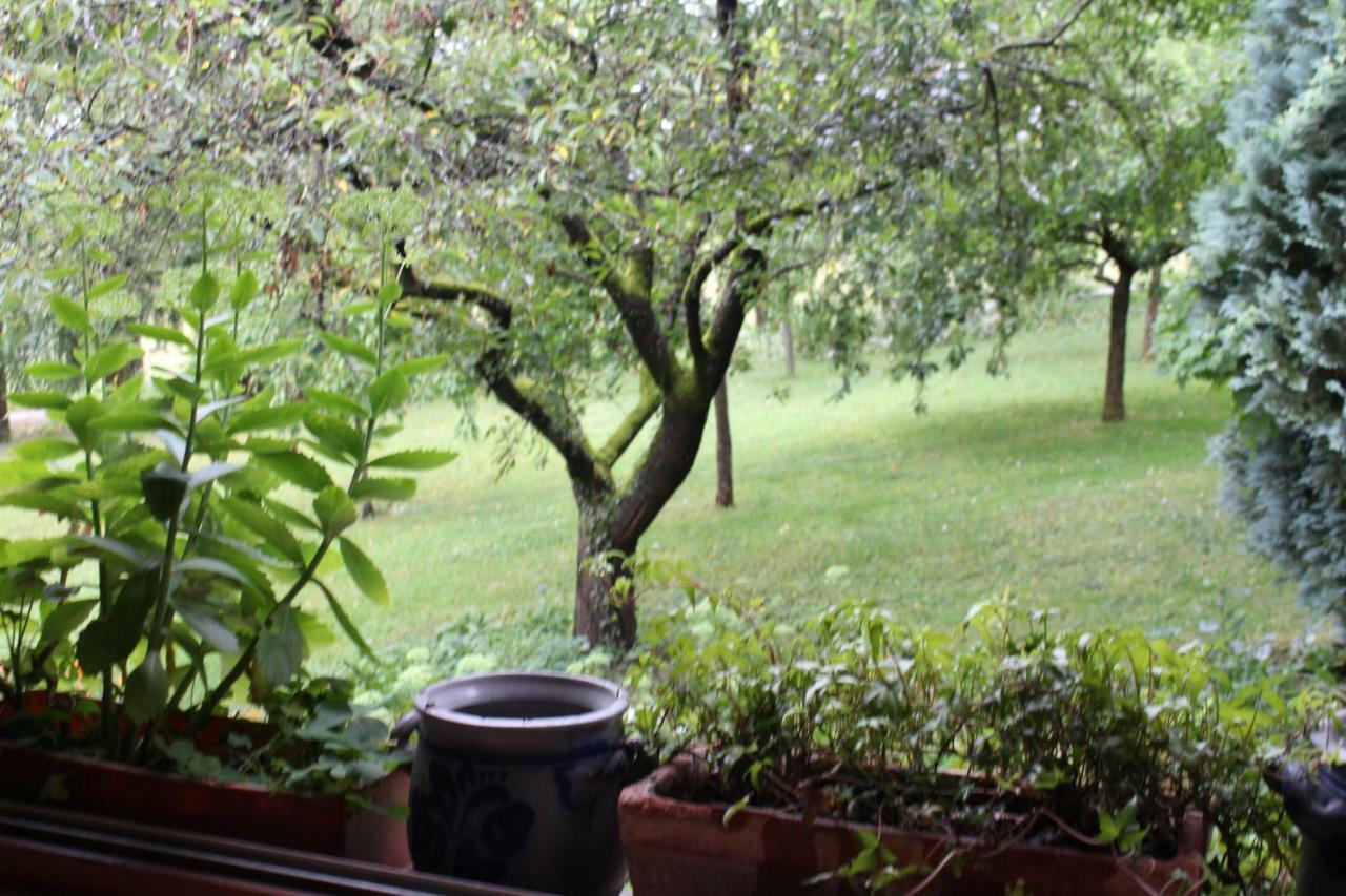 Dans Le Jardin De Marie Bouxwiller (Bas-Rhin) Exterior foto