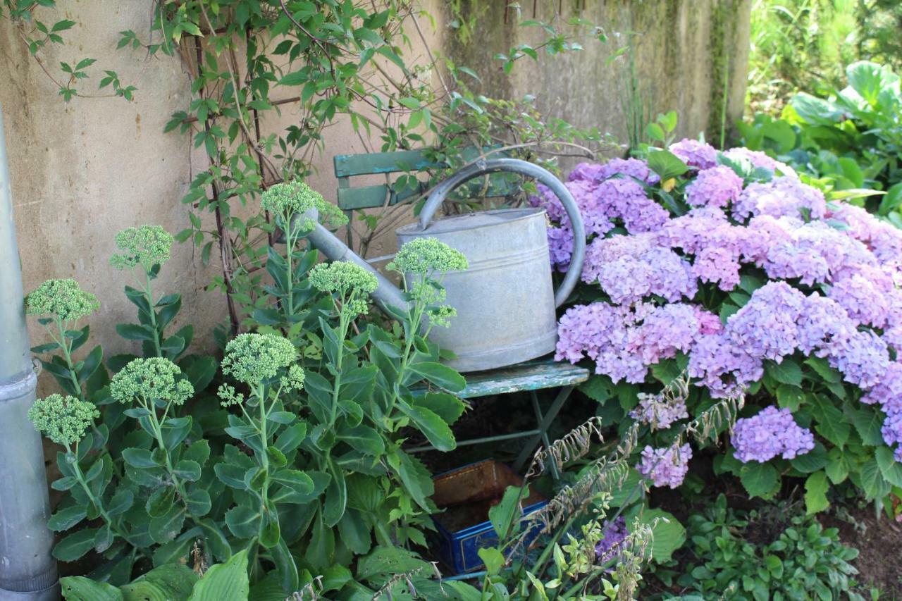 Dans Le Jardin De Marie Bouxwiller (Bas-Rhin) Exterior foto