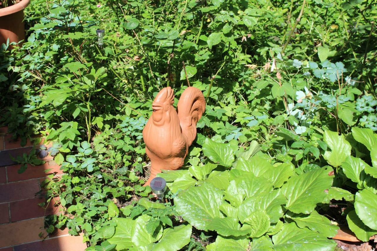 Dans Le Jardin De Marie Bouxwiller (Bas-Rhin) Exterior foto