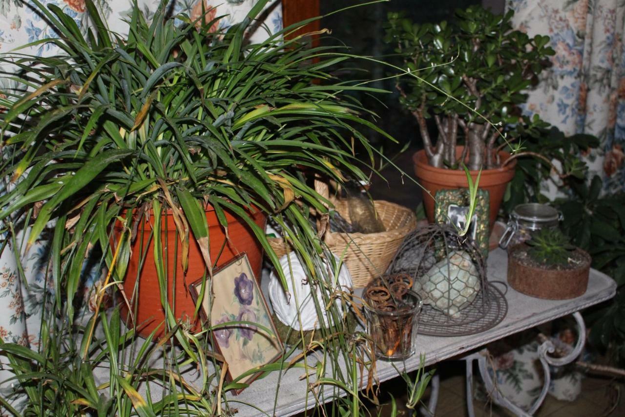 Dans Le Jardin De Marie Bouxwiller (Bas-Rhin) Exterior foto
